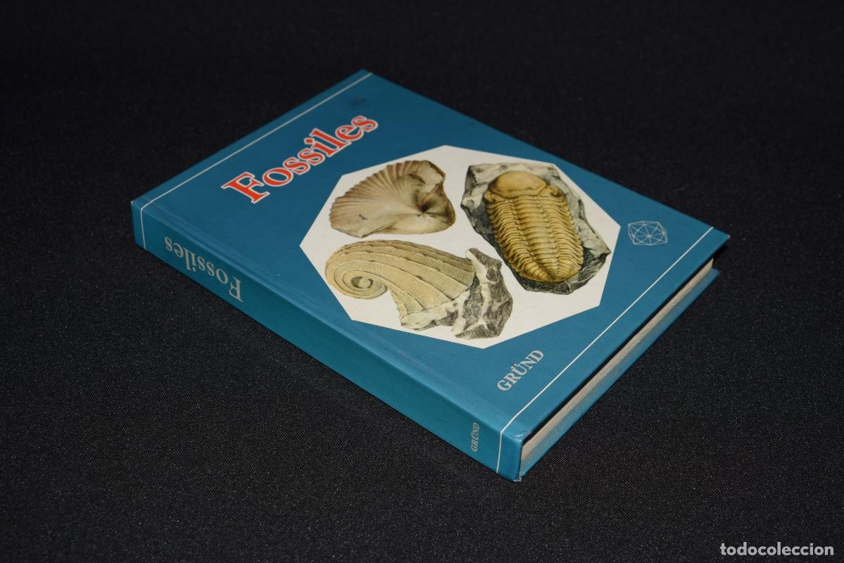 Libros: Fossiles - 1981 - idioma Franc&eacute;s - Foto 2