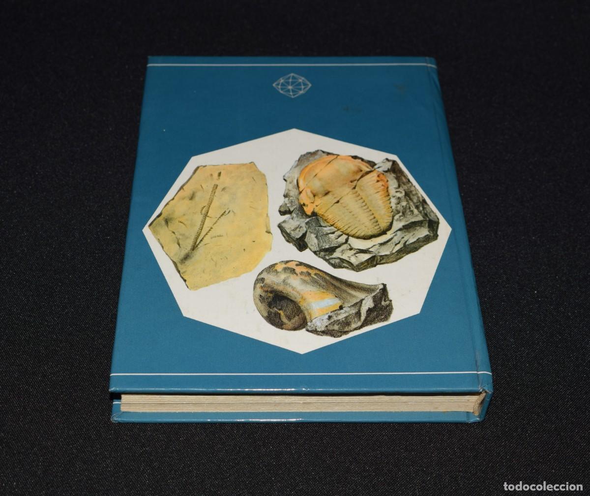 Libros: Fossiles - 1981 - idioma Franc&eacute;s - Foto 3