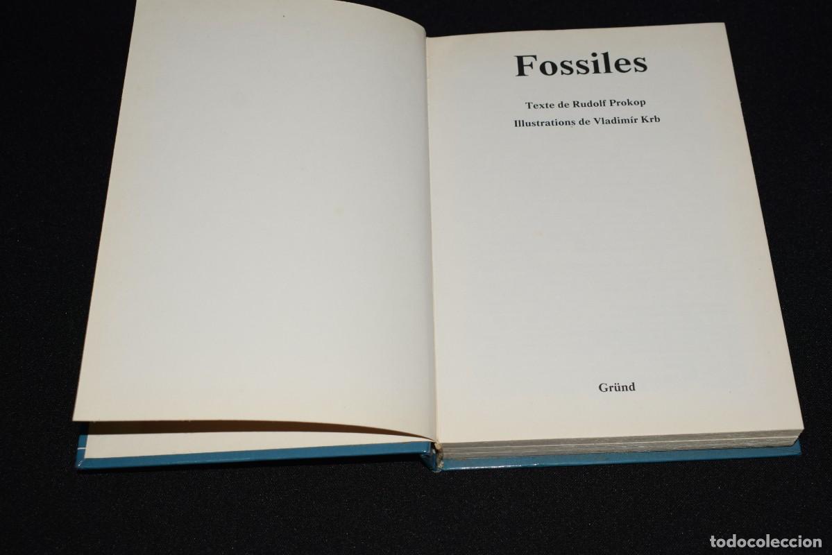 Libros: Fossiles - 1981 - idioma Franc&eacute;s - Foto 4