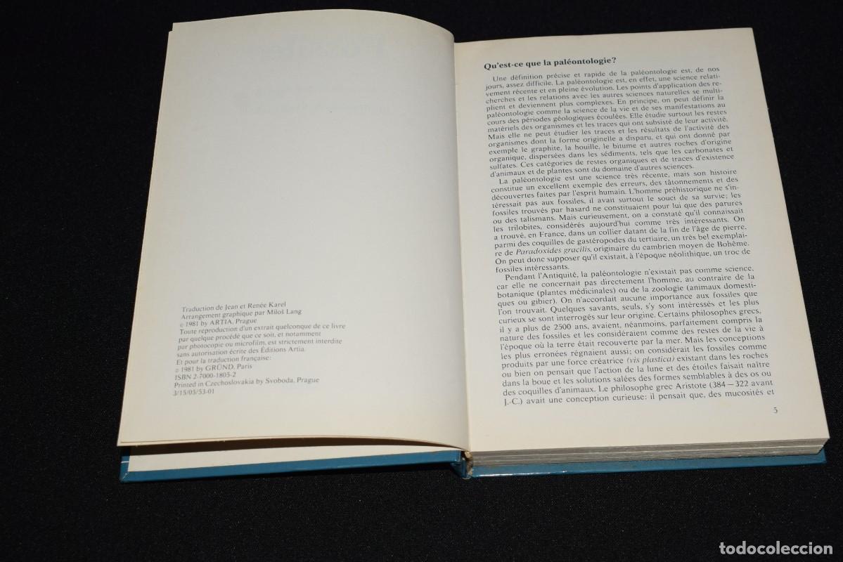 Libros: Fossiles - 1981 - idioma Franc&eacute;s - Foto 5