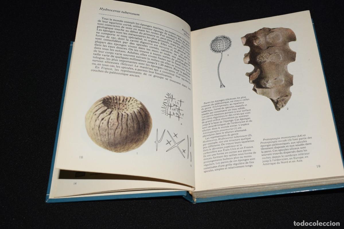 Libros: Fossiles - 1981 - idioma Franc&eacute;s - Foto 6