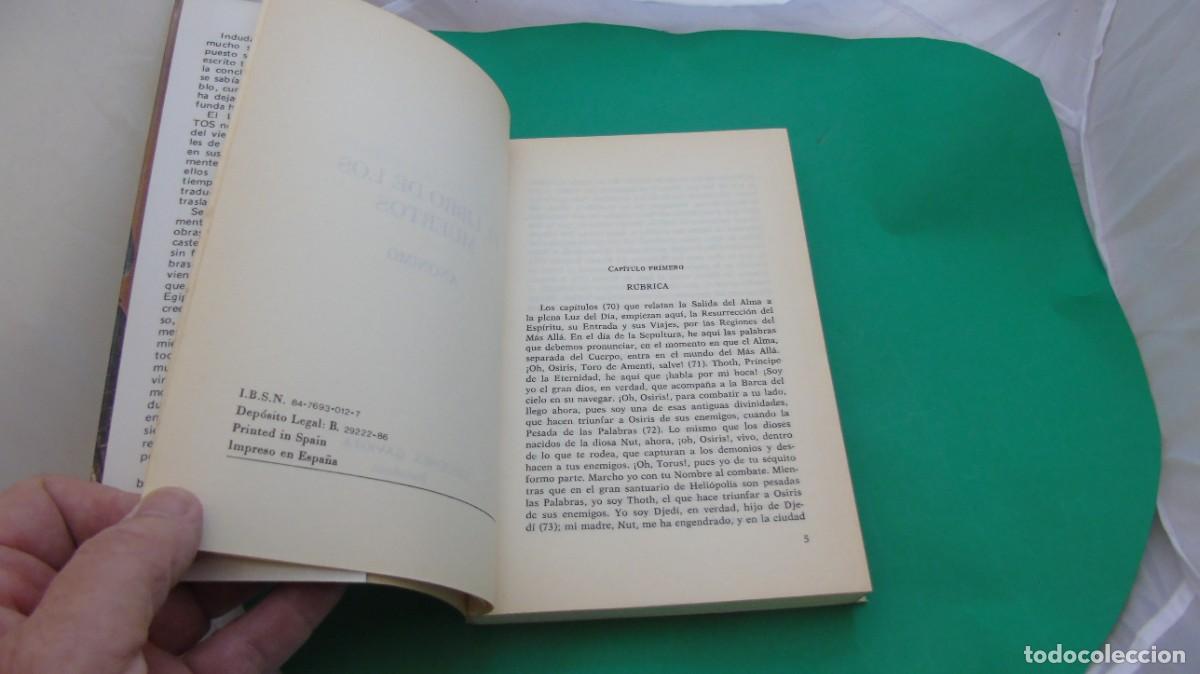 Libros: AMF-32H/ EL LIBRO DE LOS MUERTOS - ANONIMO / EDICIONES GAVIOTA - Foto 3