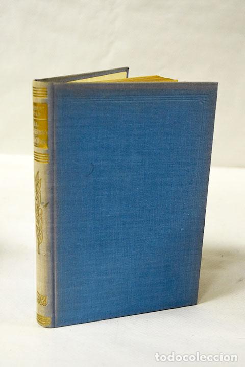 Libros: El vagabundo enamorado.- Wild, Herbert - Foto 1