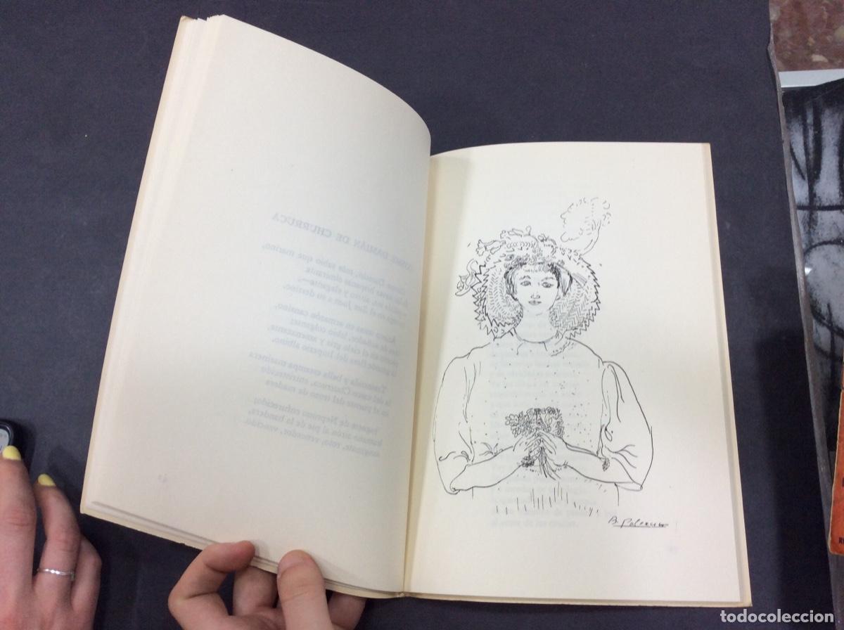 Libros: ANCLA EN LA TIERRA / JOS&Eacute; ANTONIO VACA DE OSMA - Foto 3