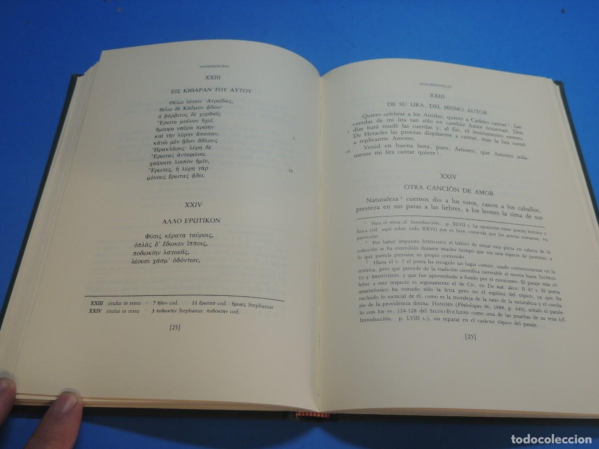 Libros: ANACRE&Oacute;NTICAS.- ANACREONTE - Foto 13