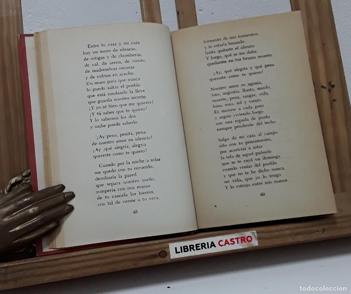 Libros: Pena y alegr&iacute;a del amor - Rafael de Le&oacute;n - Foto 2