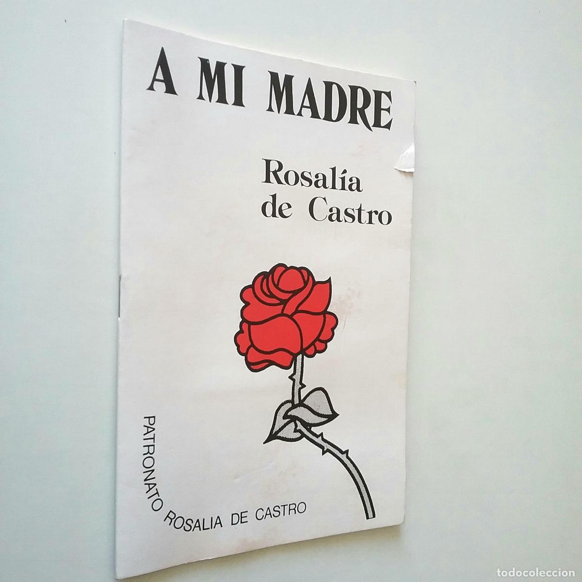 Libros: Rosal&iacute;a de Castro - A mi madre - Foto 1