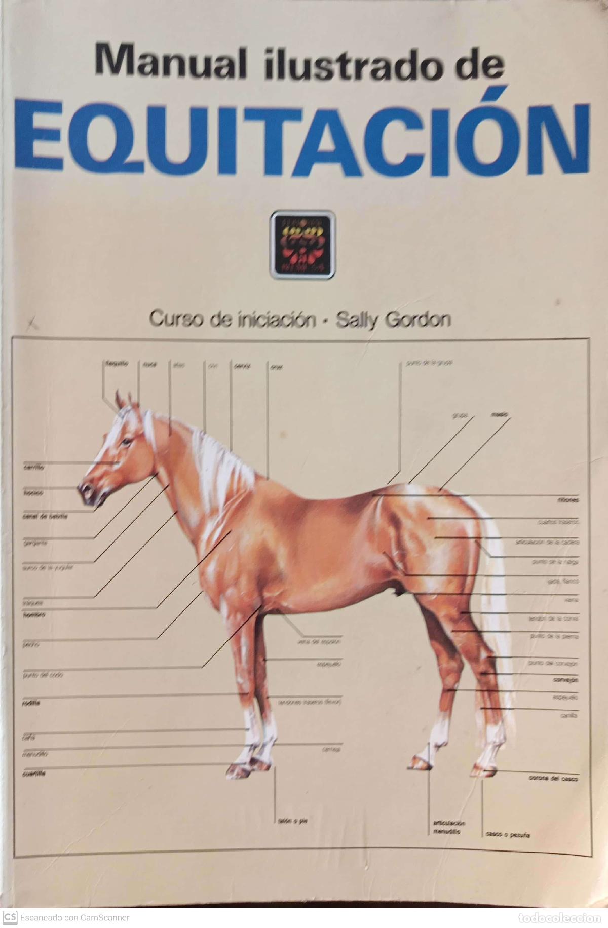 Libros: Manual ilustrado de Equitaci&oacute;n - Sally Gordon - Foto 1