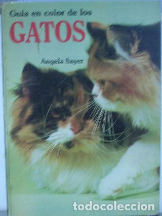 Libros: GUIA EN COLOR DE LOS GATOS. - SAYER Angela. - Foto 1