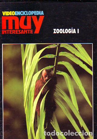 Libros: ZOOLOGIA (2 TOMOS). - TOLA Jose. - Foto 1
