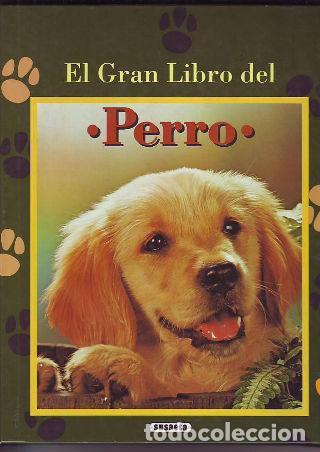 Libros: EL GRAN LIBRO DEL PERRO. - VV.AA. - Foto 1