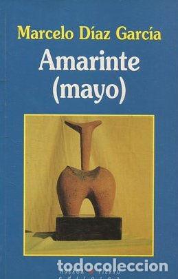 Libros: AMARINTE. - DIAZ GARCIA Marcelo. - Foto 1