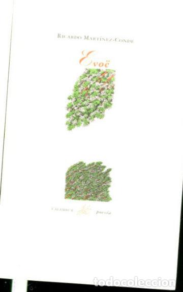 Libros: EVOE. - MARTINEZ CONDE Ricardo. - Foto 1