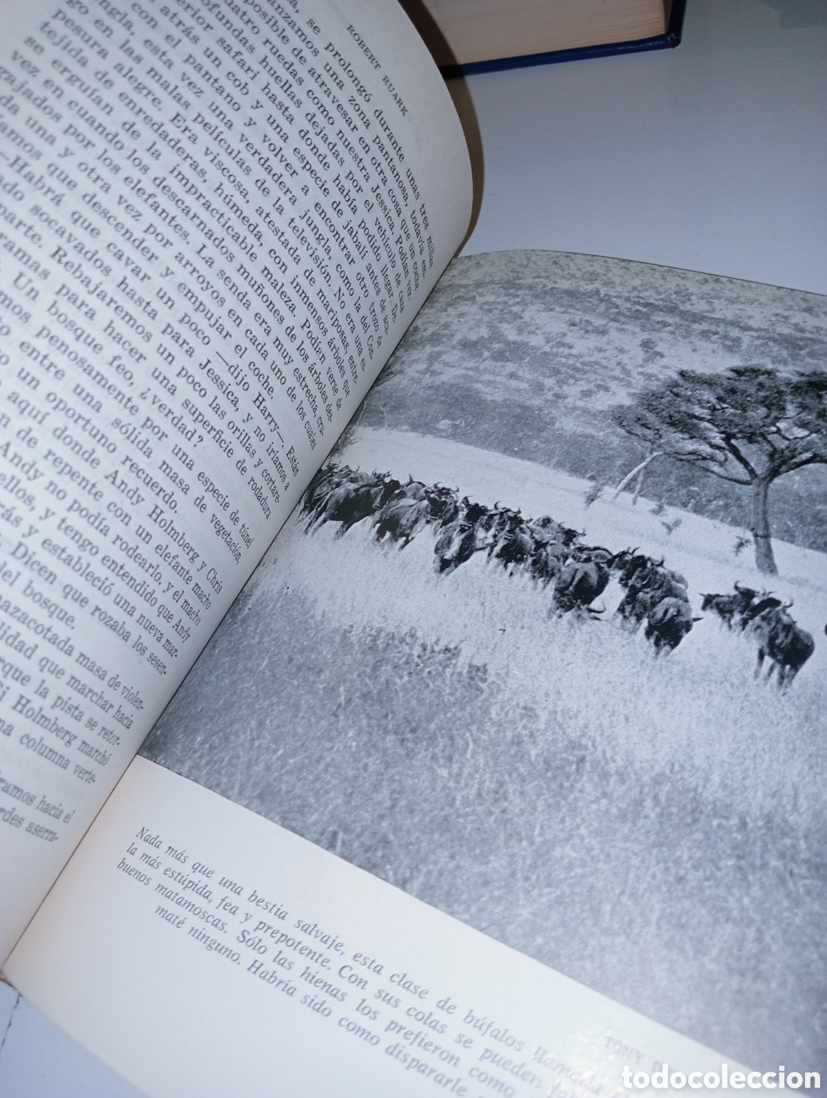 Libros: El cuerno del cazador - Foto 5