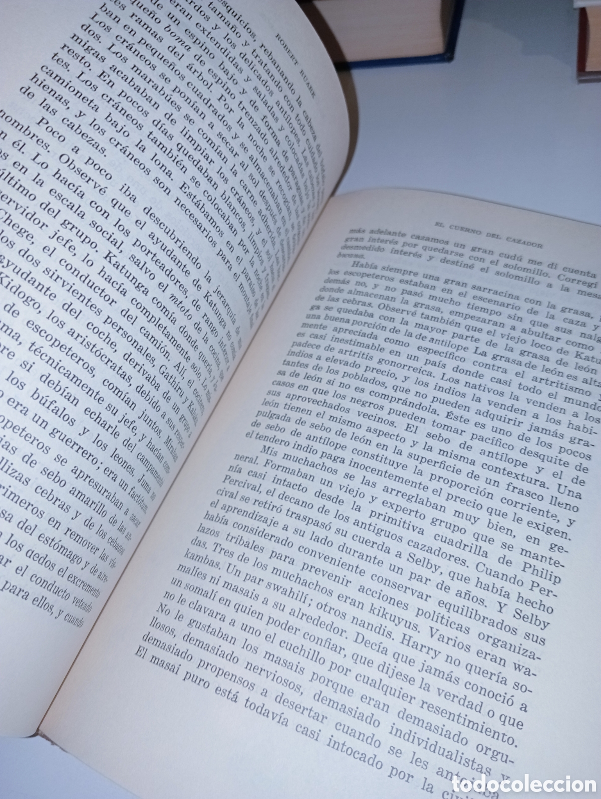Libros: El cuerno del cazador - Foto 6