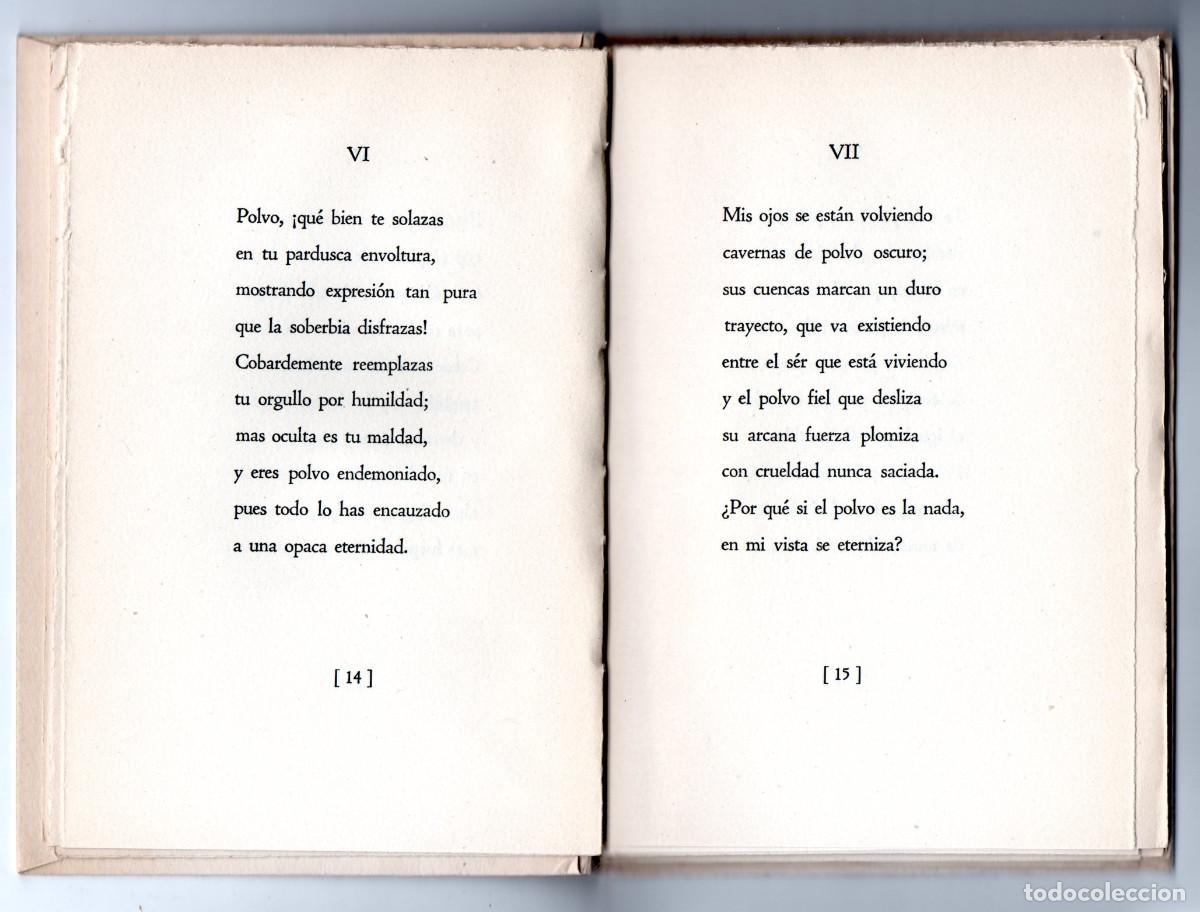 Libros: Amor, Guadalupe. - Polvo. [Dedicatoria aut&oacute;grafa de la autora] - Foto 3