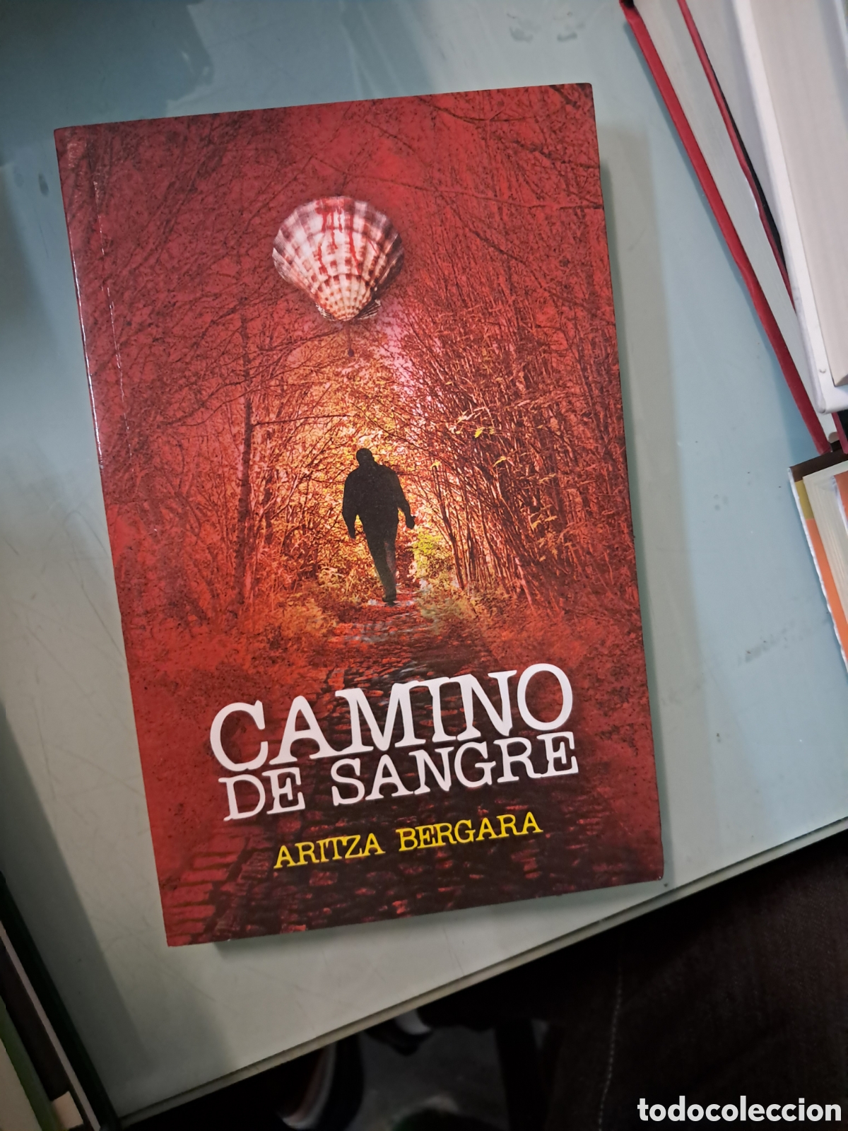 Libros: Aritza Bergara, Camino de sangre, - Foto 1