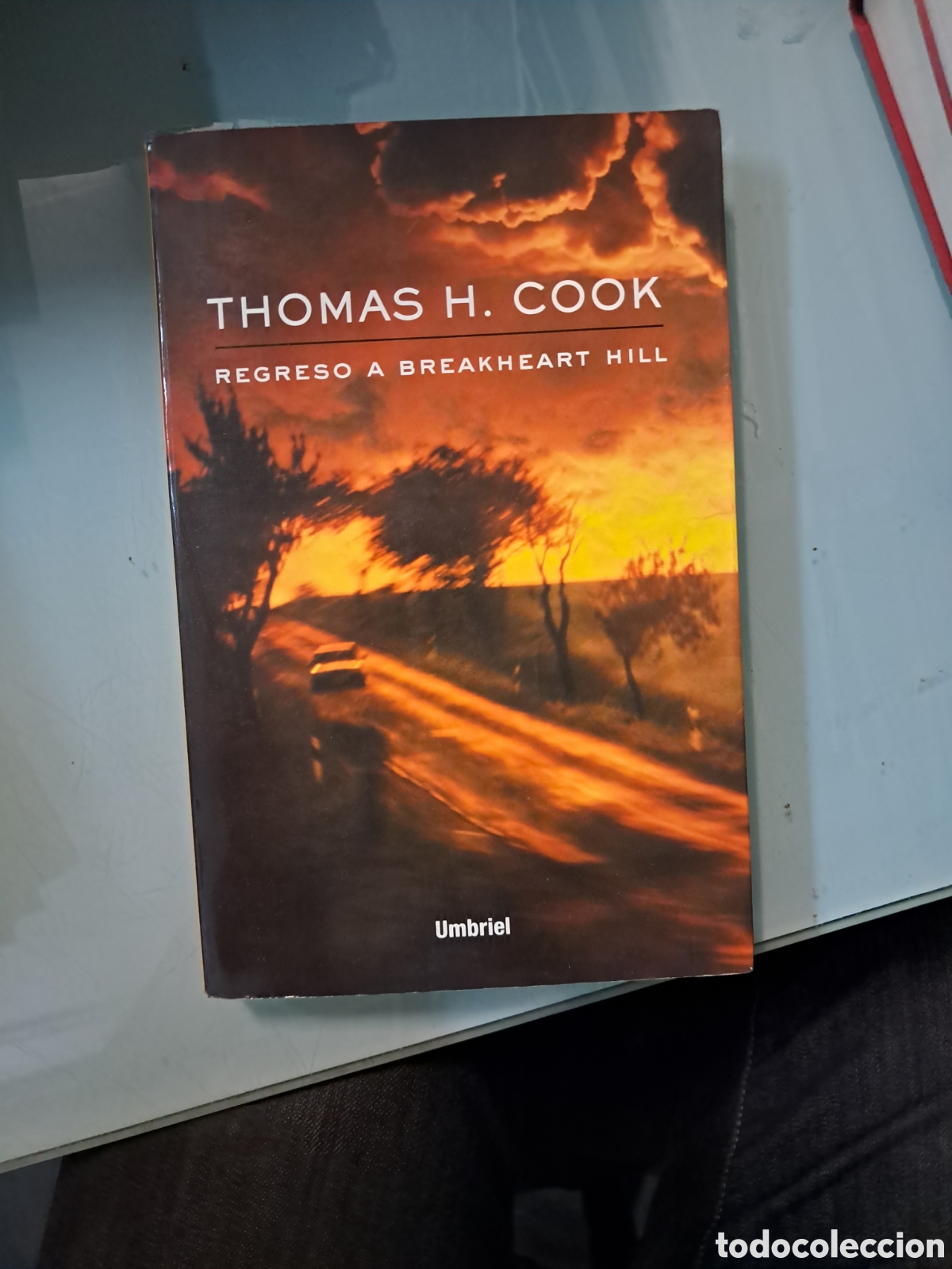 Libros: Thomas H.Cook, Regreso a Breakheart hill, Umbriel - Foto 1