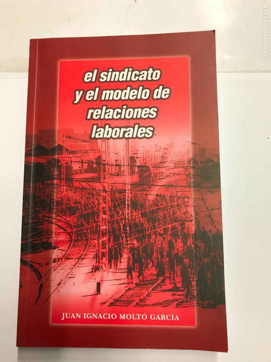 Libri di seconda mano: EL SINDICATOY EL MODELO DE RELACIONES LABORALES. - JUAN IGNACIO MOLT&Oacute; GARC&Iacute;A.