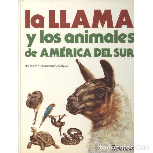 B&uuml;cher: LA LLAMA Y LOS ANIMALES DE AM&Eacute;RICA DEL SUR - MINELLI, ALESSANDRO, PIA, MAR&Iacute;A