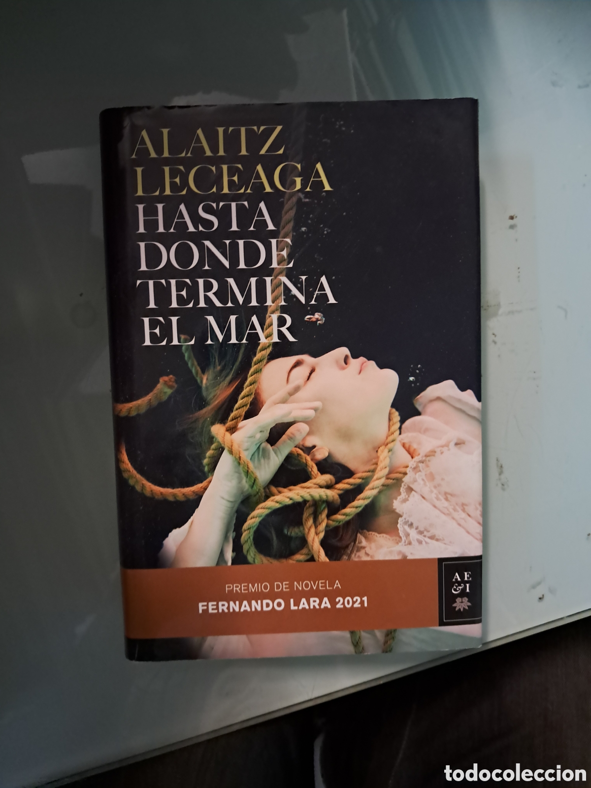 Libros: Alaitz Leceaga, Hasta donde termina el.mar, C&iacute;rculo de Lectores - Foto 1