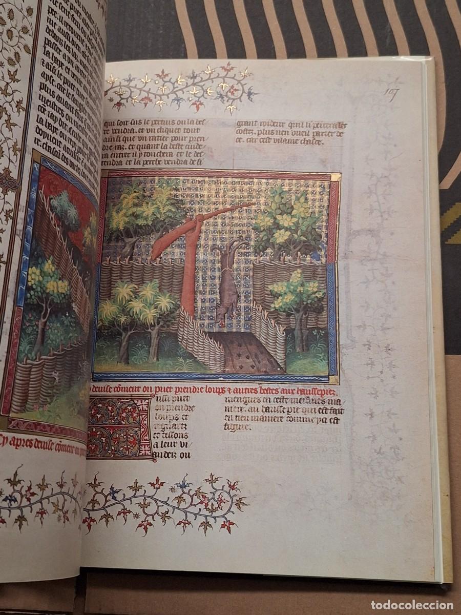 Libros: CAZA.EL LIBRO DE LA CAZA GASTON PHOEBUS - Foto 5