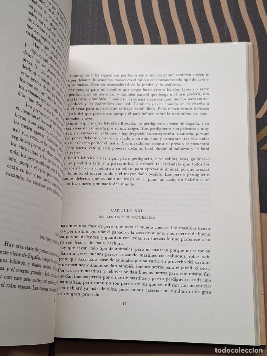 Libros: CAZA.EL LIBRO DE LA CAZA GASTON PHOEBUS - Foto 10