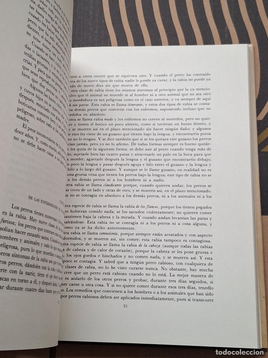 Libros: CAZA.EL LIBRO DE LA CAZA GASTON PHOEBUS - Foto 12