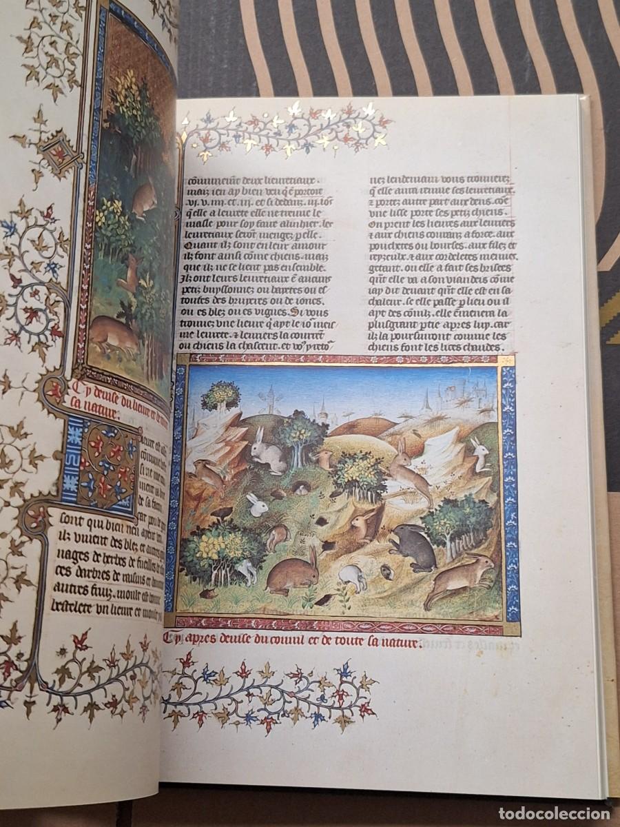 Libros: CAZA.EL LIBRO DE LA CAZA GASTON PHOEBUS - Foto 14