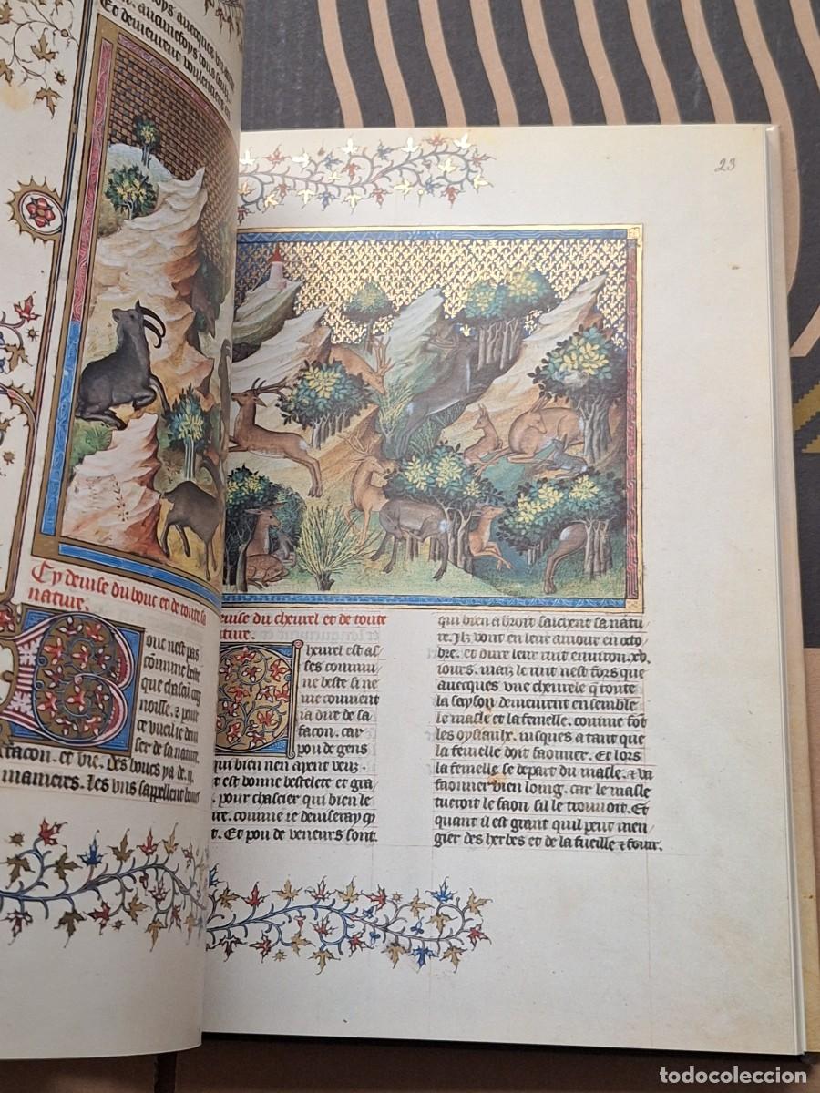 Libros: CAZA.EL LIBRO DE LA CAZA GASTON PHOEBUS - Foto 15