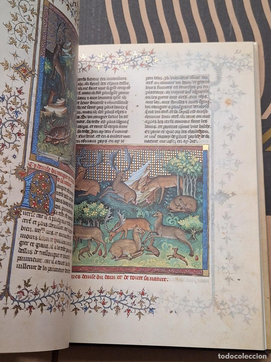 Libros: CAZA.EL LIBRO DE LA CAZA GASTON PHOEBUS - Foto 16