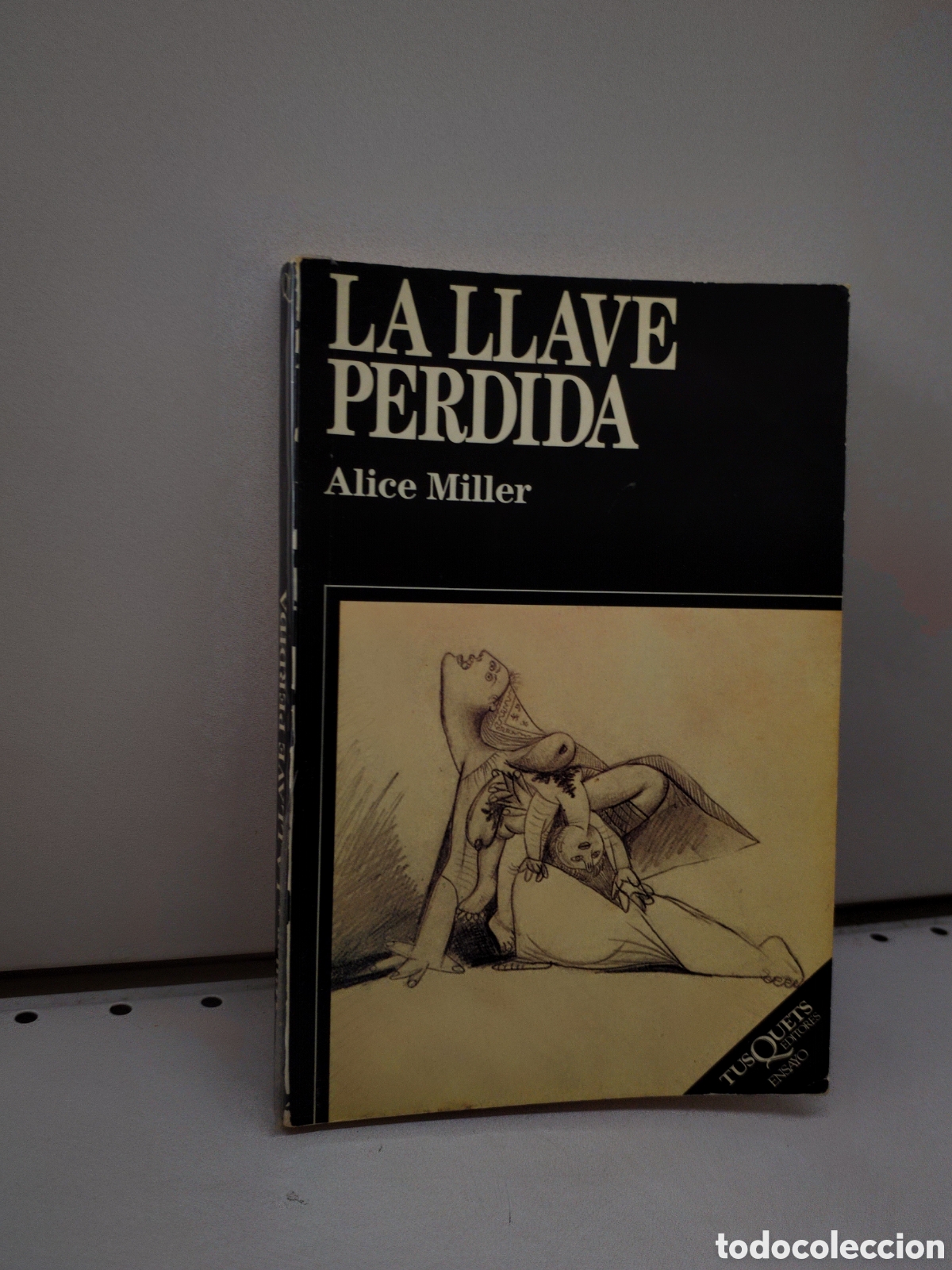Libros: La llave perdida - Miller, Alice - Foto 1