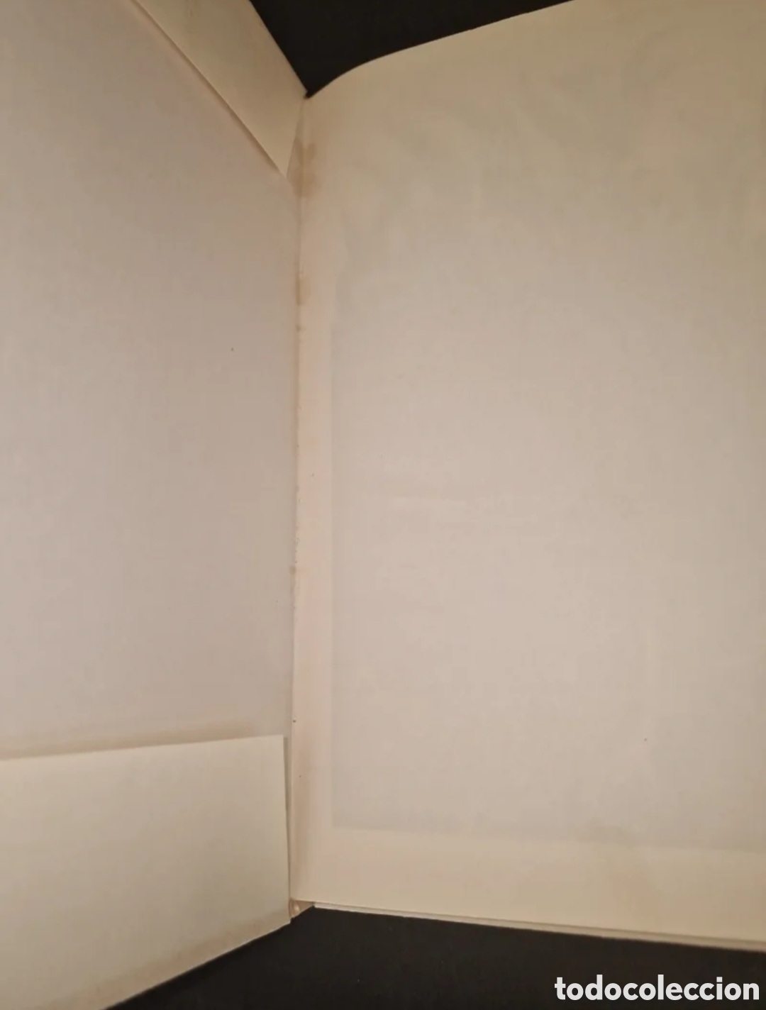 Libros: Hojas de Hierba - Walt Whitman - Foto 3