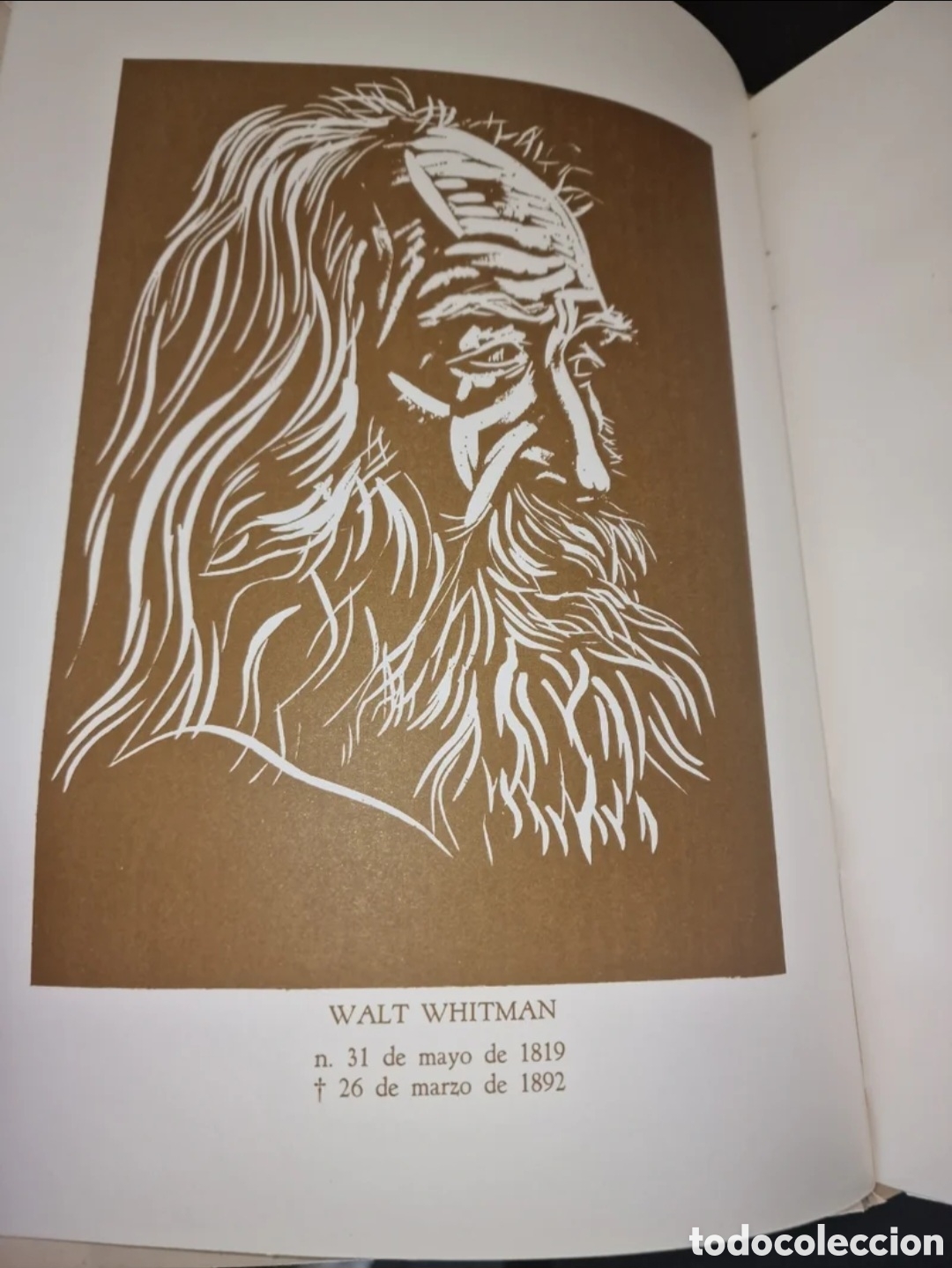 Libros: Hojas de Hierba - Walt Whitman - Foto 7