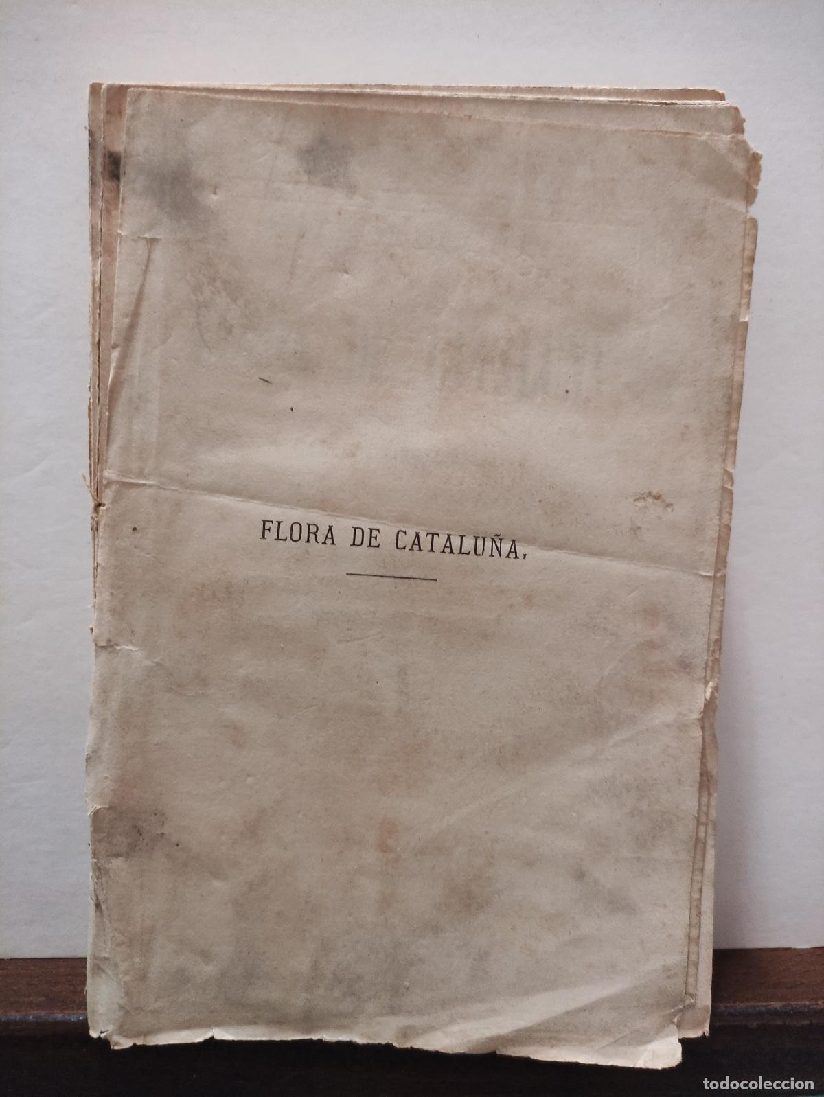 Libros: FLORA DE CATALU&Ntilde;A - D. ANTONIO CIPRIANO COSTA - Foto 2