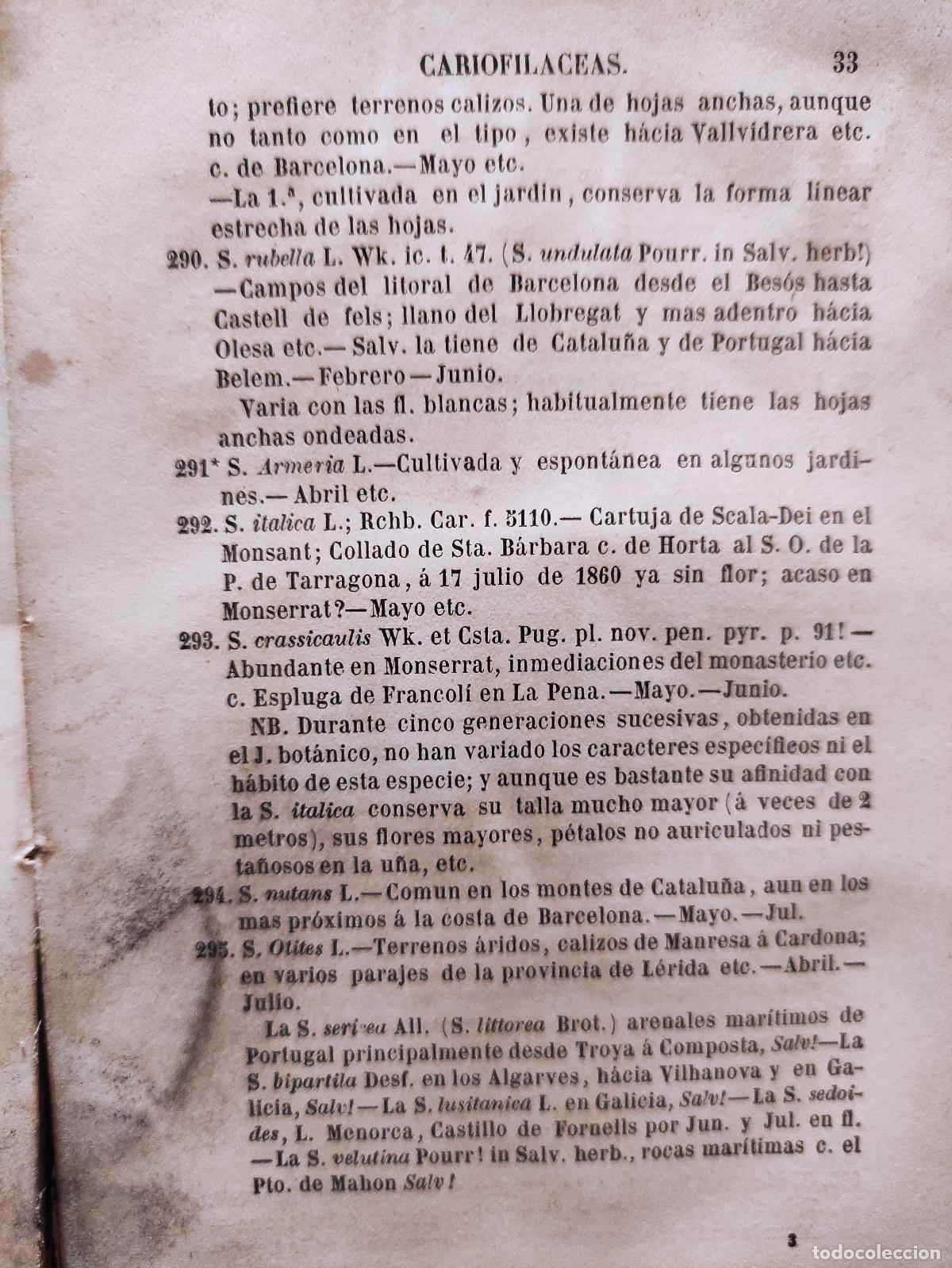Libros: FLORA DE CATALU&Ntilde;A - D. ANTONIO CIPRIANO COSTA - Foto 3