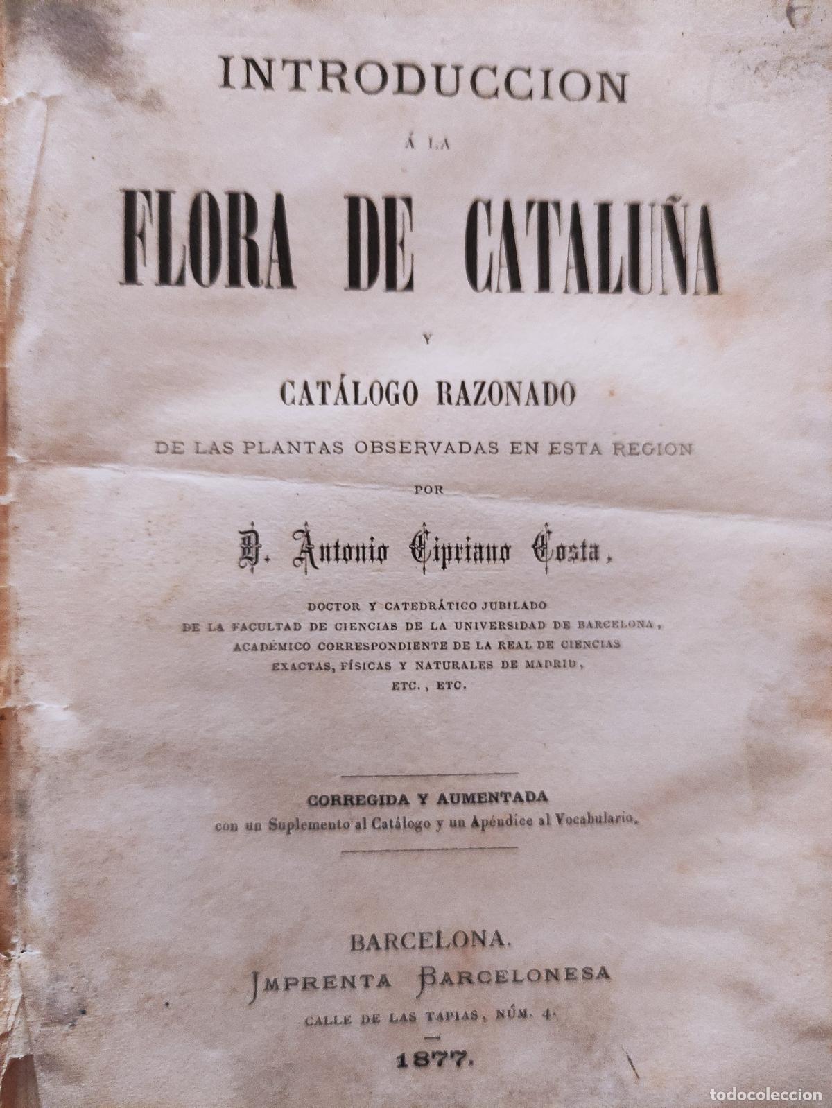 Libros: FLORA DE CATALU&Ntilde;A - D. ANTONIO CIPRIANO COSTA - Foto 1