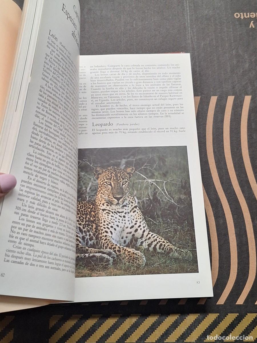 Libros: EL GRAN LIBRO DE LA CAZA - Foto 5