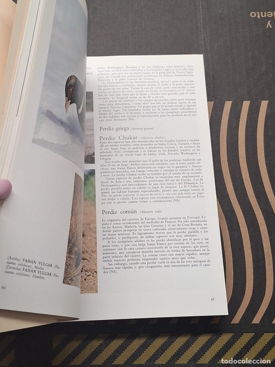 Libros: EL GRAN LIBRO DE LA CAZA - Foto 6