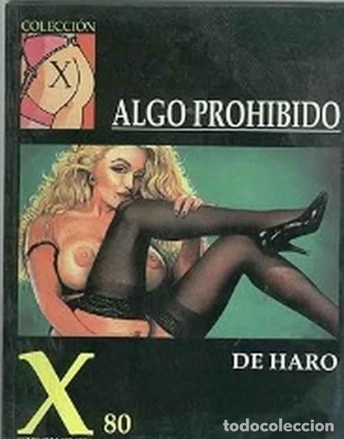 Libros: Colecci&oacute;n X, 80. Algo prohibido - De Haro - Foto 1