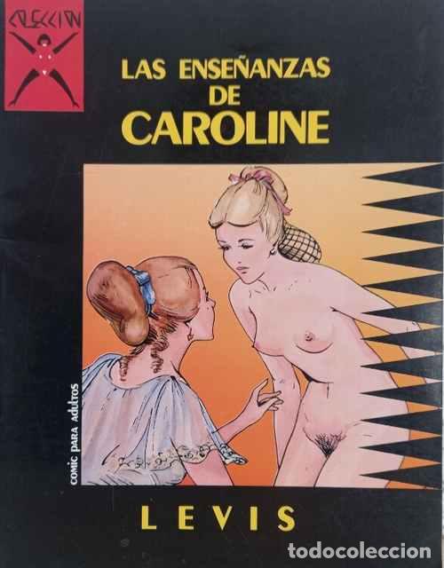 Libros: Colecci&oacute;n X. Las ense&ntilde;anzas de Caroline - Levis - Foto 1