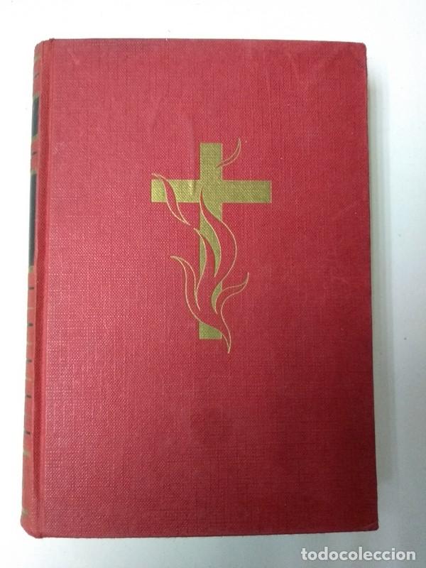 Libros: Contra la ley de Dios - Elizabeth Ann Cooper - Foto 1