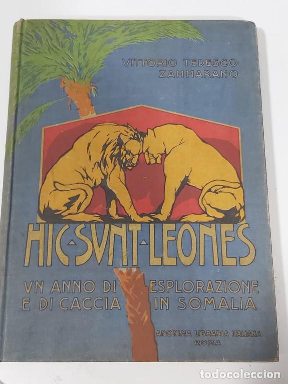 Libri di seconda mano: Hic sunt leones - Tedesco Zammarano, Vittorio