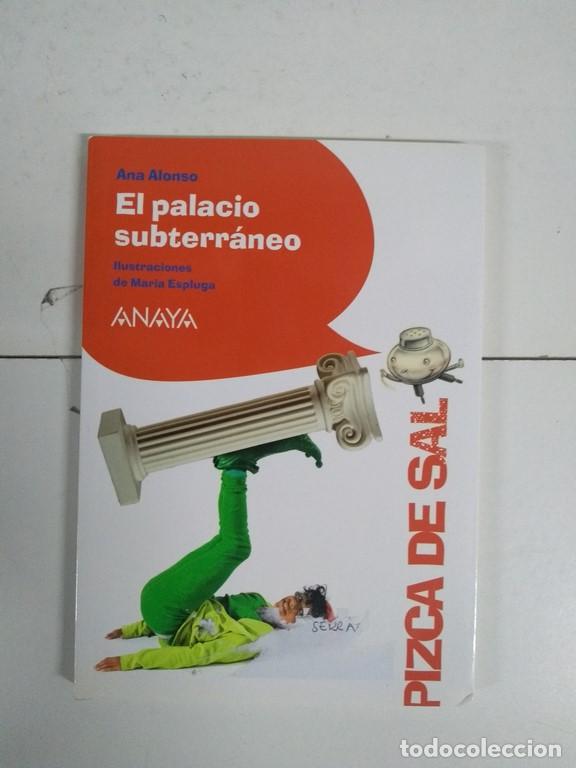 Libros: El palacio subterr&aacute;neo - Ana Alonso - Foto 1