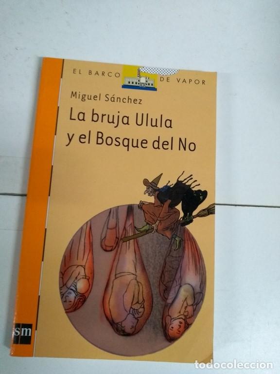Libros: La bruja Ulula y el Bosque del No - Miguel Sanchez - Foto 1