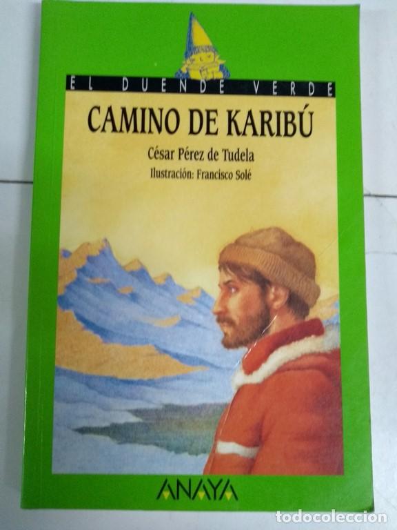 Libros: Camino de Karib&uacute; - C&eacute;sar P&eacute;rez de Tudela - Foto 1