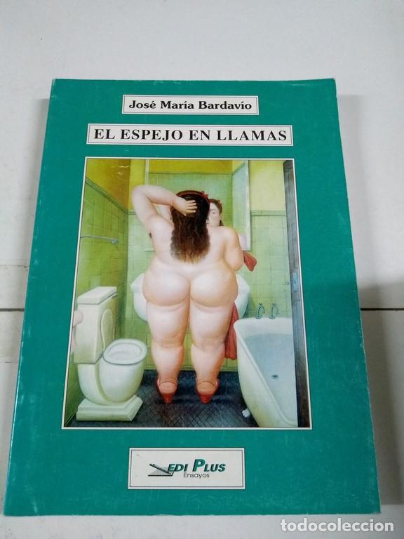 Libros: El espejo en llamas - Jos&eacute; Mar&iacute;a Bardav&iacute;o - Foto 1