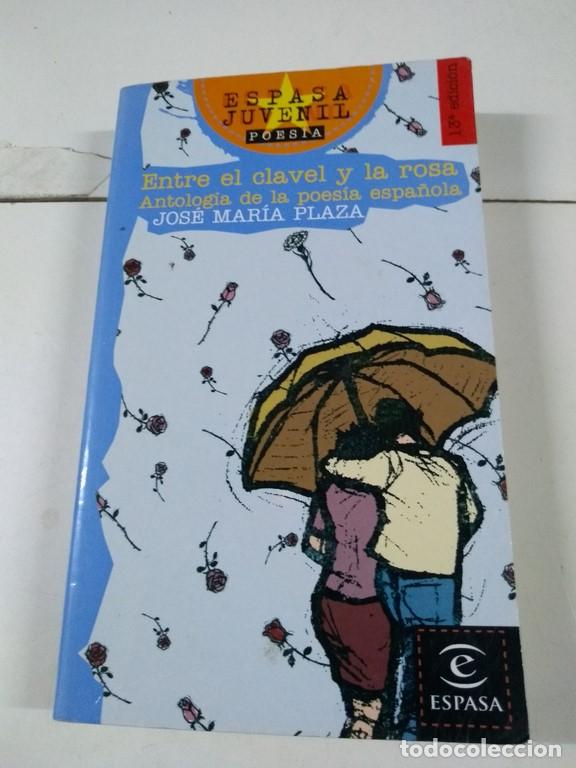 Libros: Entre el clavel y la rosa - Jos&eacute; Mar&iacute;a Plaza - Foto 1