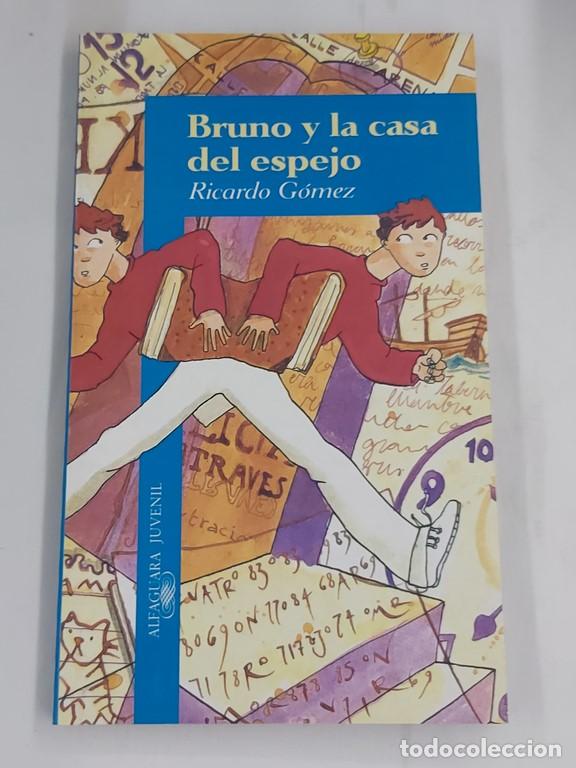 Libros: Bruno y la casa del espejo - Ricardo G&oacute;mez - Foto 1