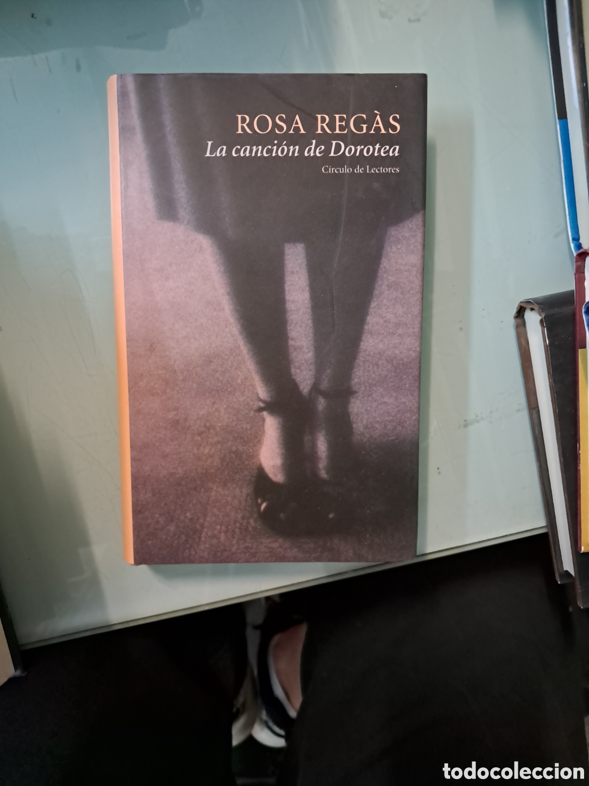 Libros: Risa Reg&aacute;s, La canci&oacute;n de Dorotea, C&iacute;rculo de Lectores - Foto 1
